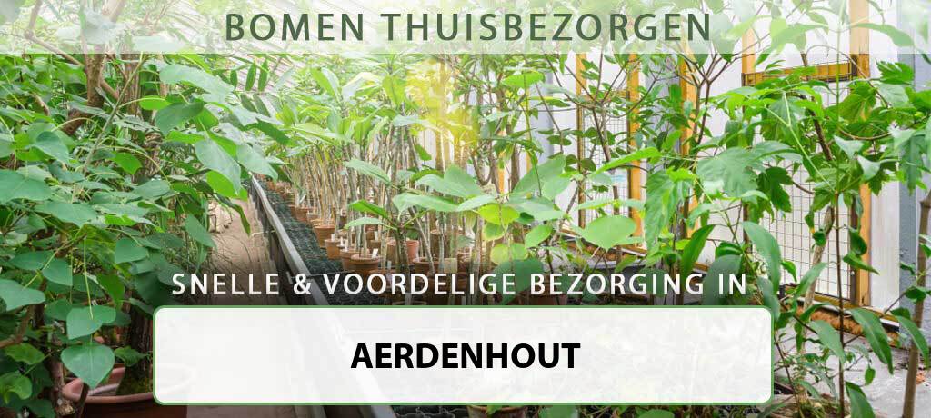 boom-bezorgen-aerdenhout