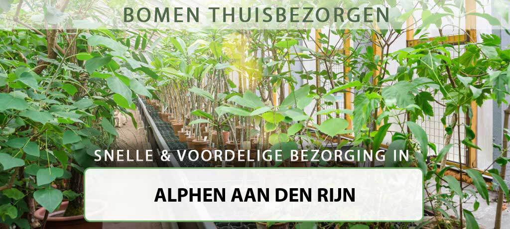 boom-bezorgen-alphen-aan-den-rijn