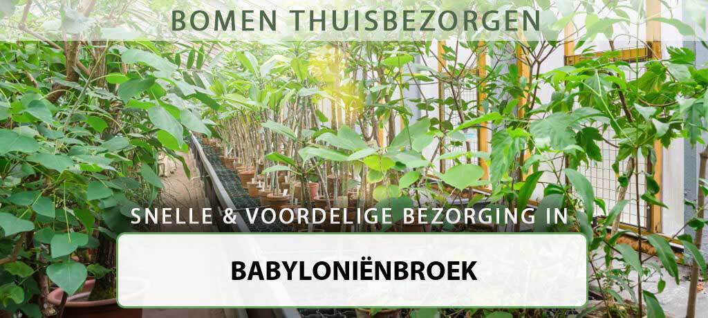 boom-bezorgen-babylonienbroek