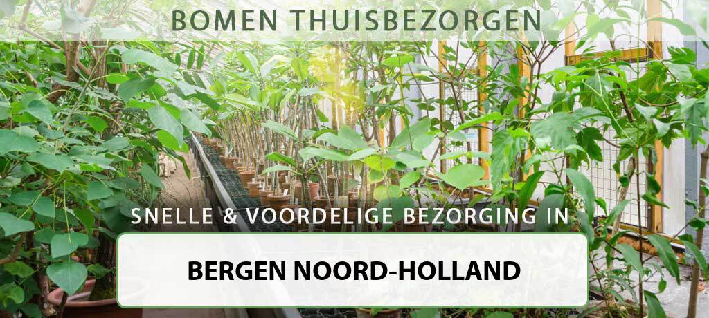 boom-bezorgen-bergen-noord-holland