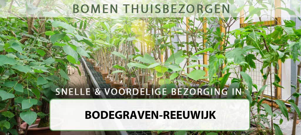 boom-bezorgen-bodegraven-reeuwijk