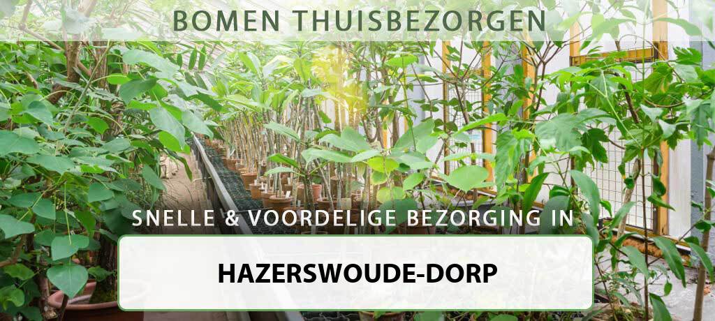 boom-bezorgen-hazerswoude-dorp