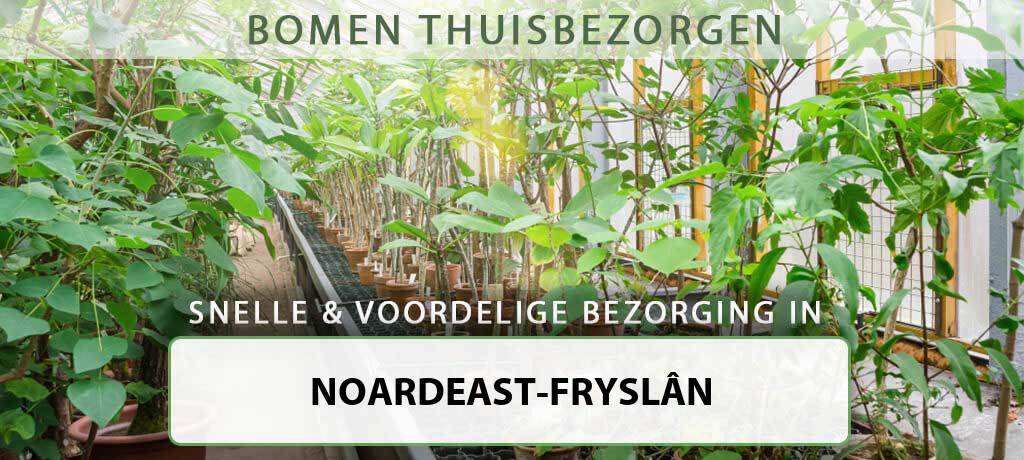 boom-bezorgen-noordoost-friesland