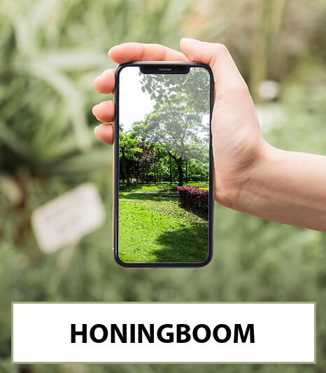 honingboom-bestellen-bezorgen