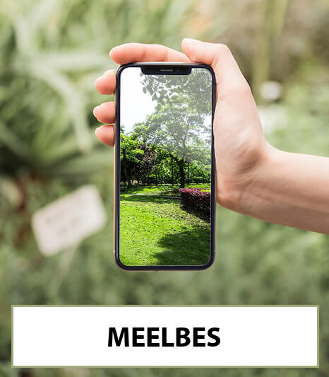 meelbes-bestellen-bezorgen